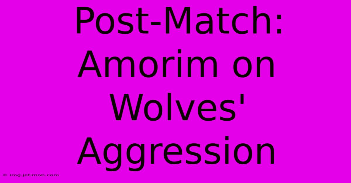 Post-Match: Amorim On Wolves' Aggression