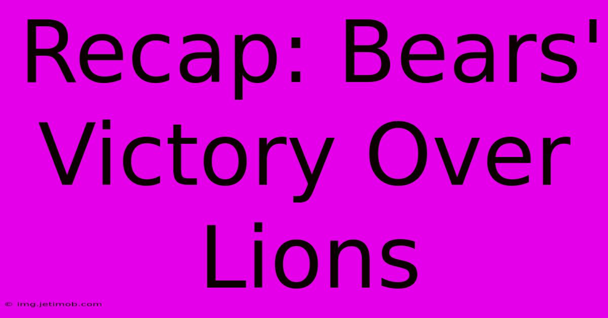 Recap: Bears' Victory Over Lions