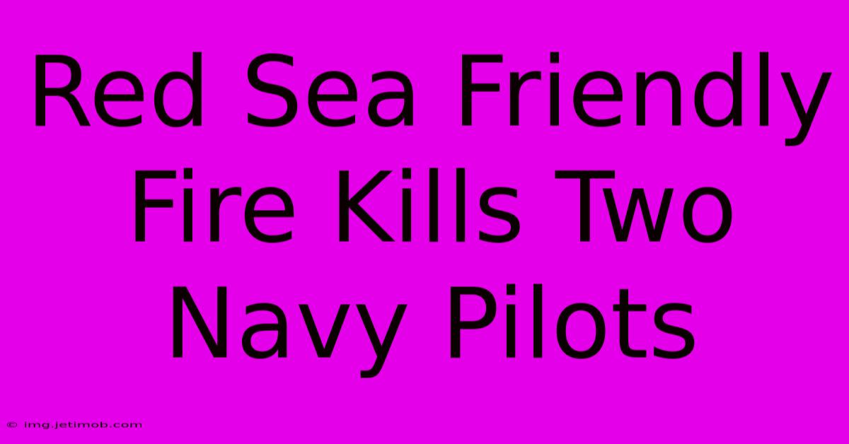 Red Sea Friendly Fire Kills Two Navy Pilots