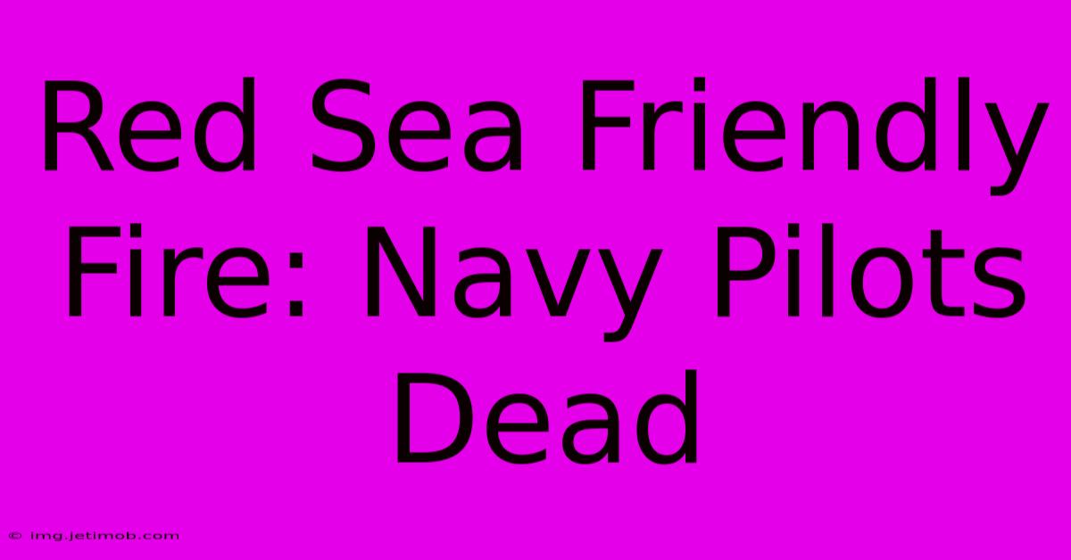 Red Sea Friendly Fire: Navy Pilots Dead