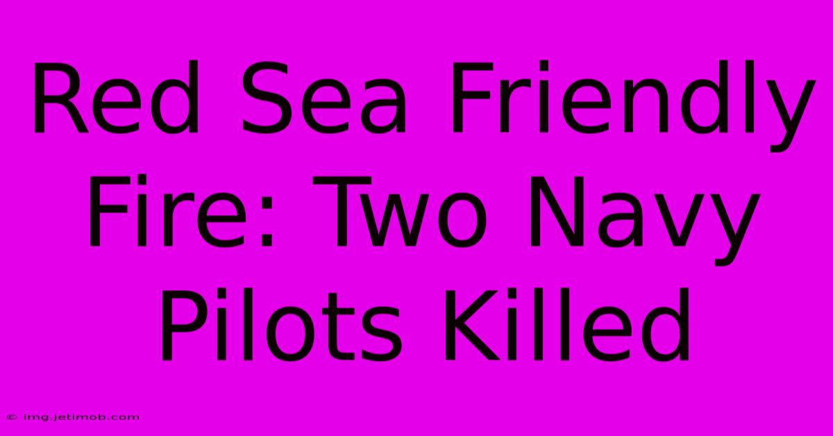 Red Sea Friendly Fire: Two Navy Pilots Killed