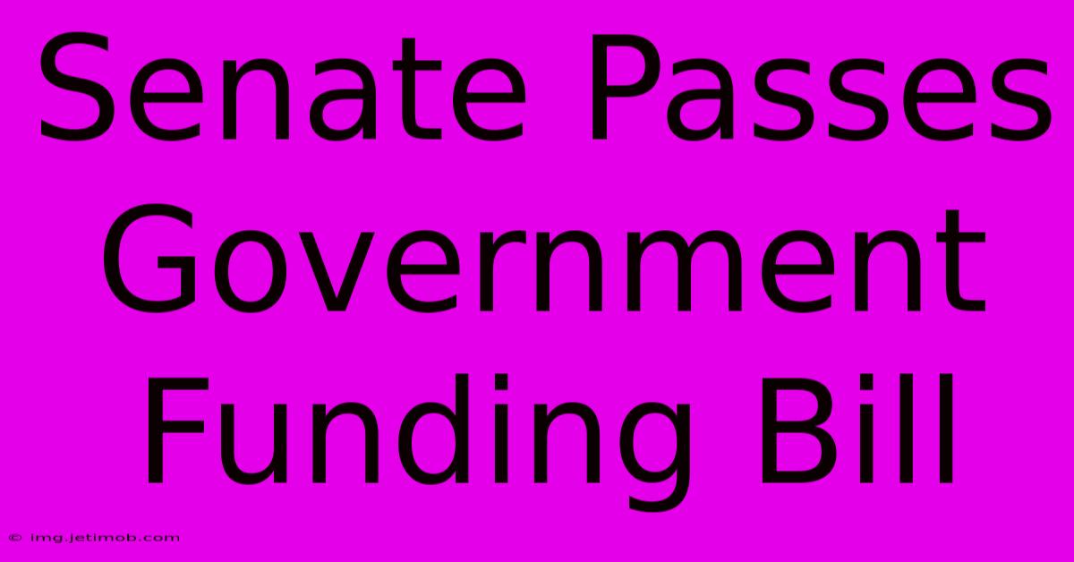 Senate Passes Government Funding Bill