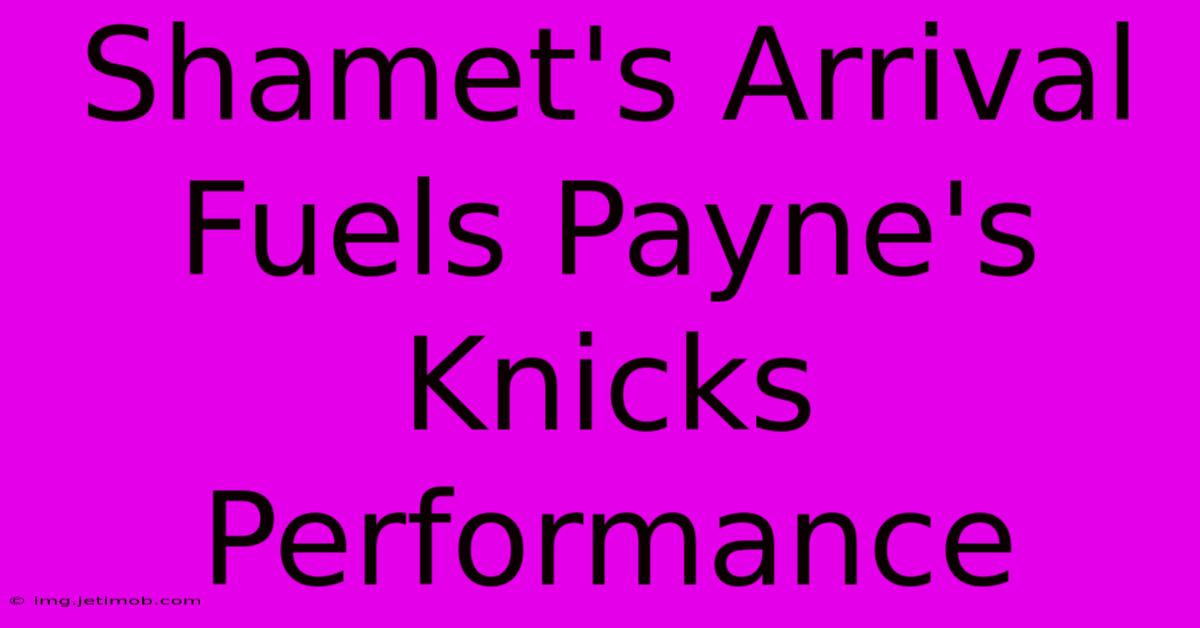 Shamet's Arrival Fuels Payne's Knicks Performance