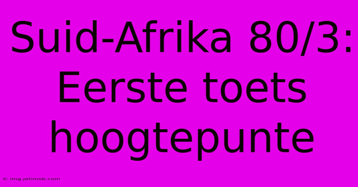 Suid-Afrika 80/3: Eerste Toets Hoogtepunte