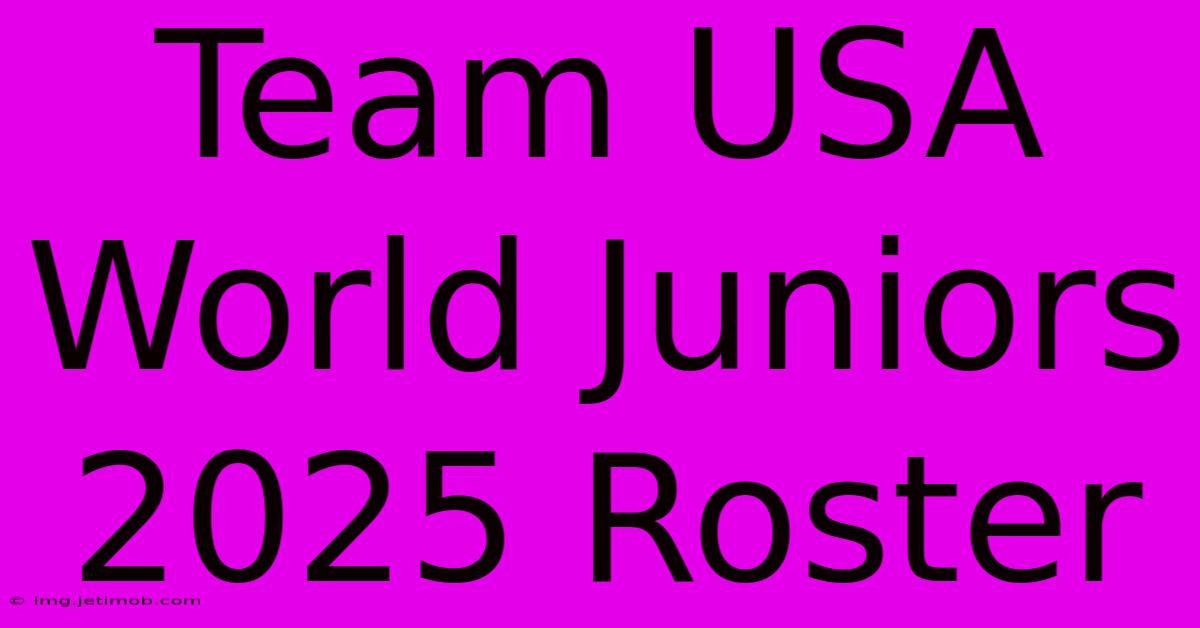 Team USA World Juniors 2025 Roster