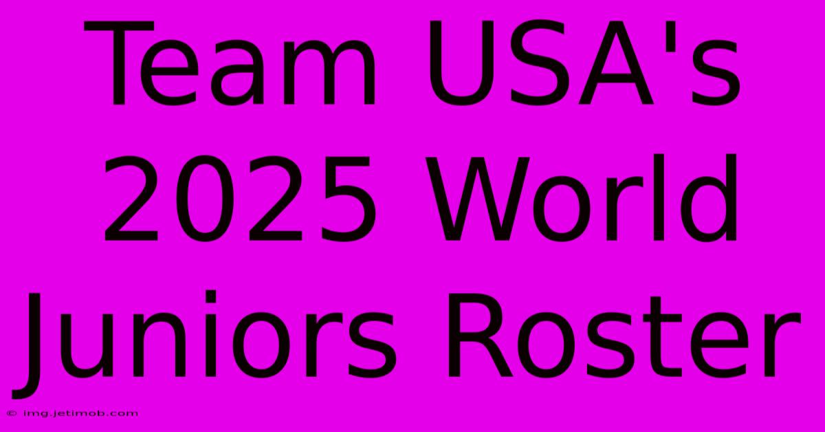 Team USA's 2025 World Juniors Roster