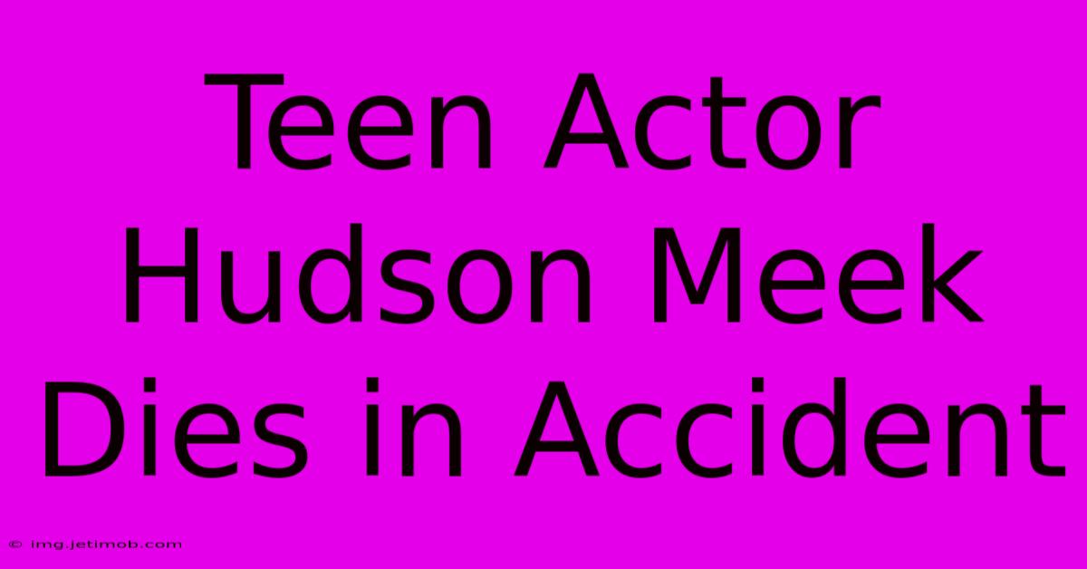 Teen Actor Hudson Meek Dies In Accident