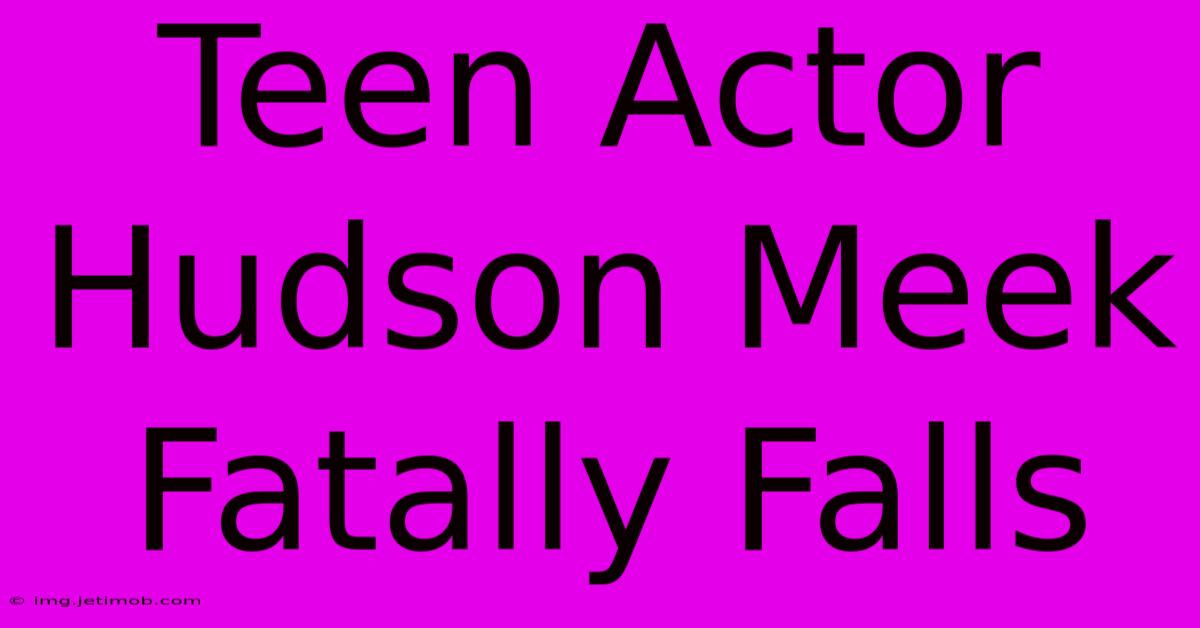 Teen Actor Hudson Meek Fatally Falls