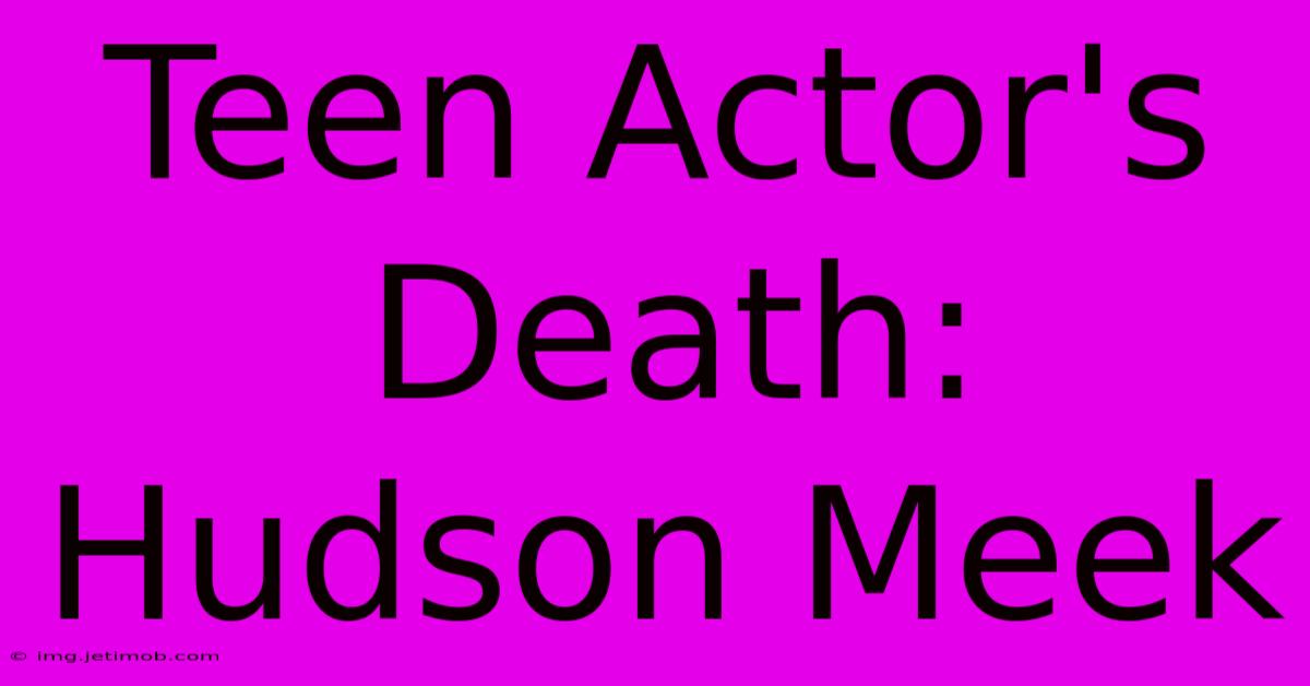 Teen Actor's Death: Hudson Meek