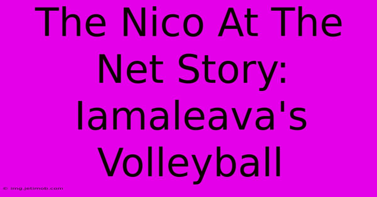 The Nico At The Net Story: Iamaleava's Volleyball