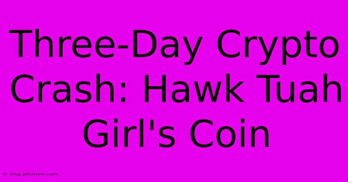 Three-Day Crypto Crash: Hawk Tuah Girl's Coin