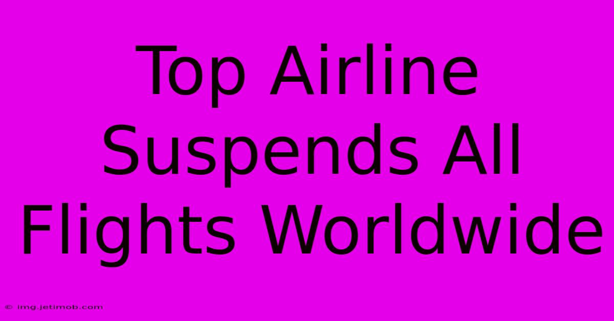 Top Airline Suspends All Flights Worldwide