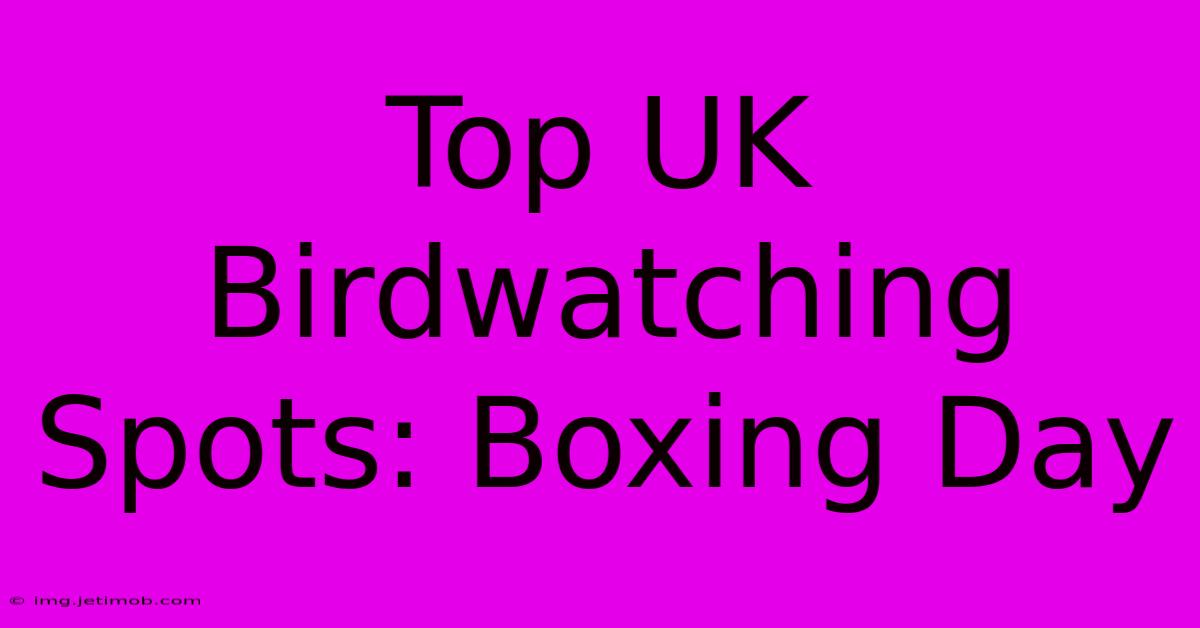 Top UK Birdwatching Spots: Boxing Day