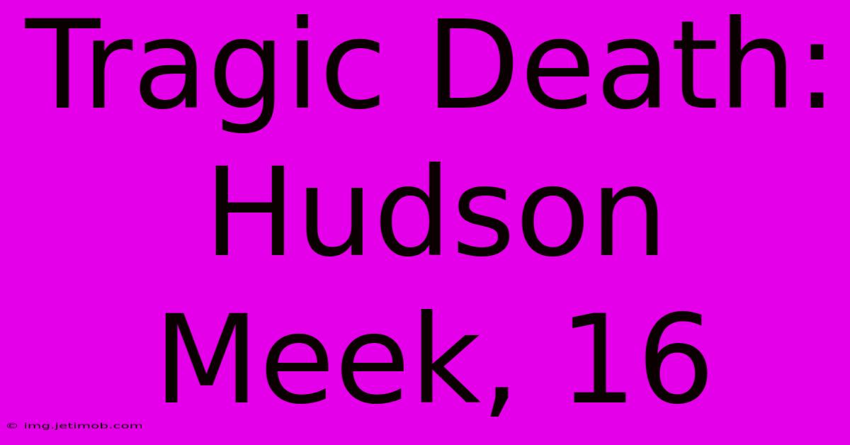 Tragic Death: Hudson Meek, 16