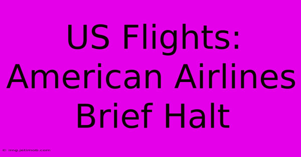 US Flights: American Airlines Brief Halt