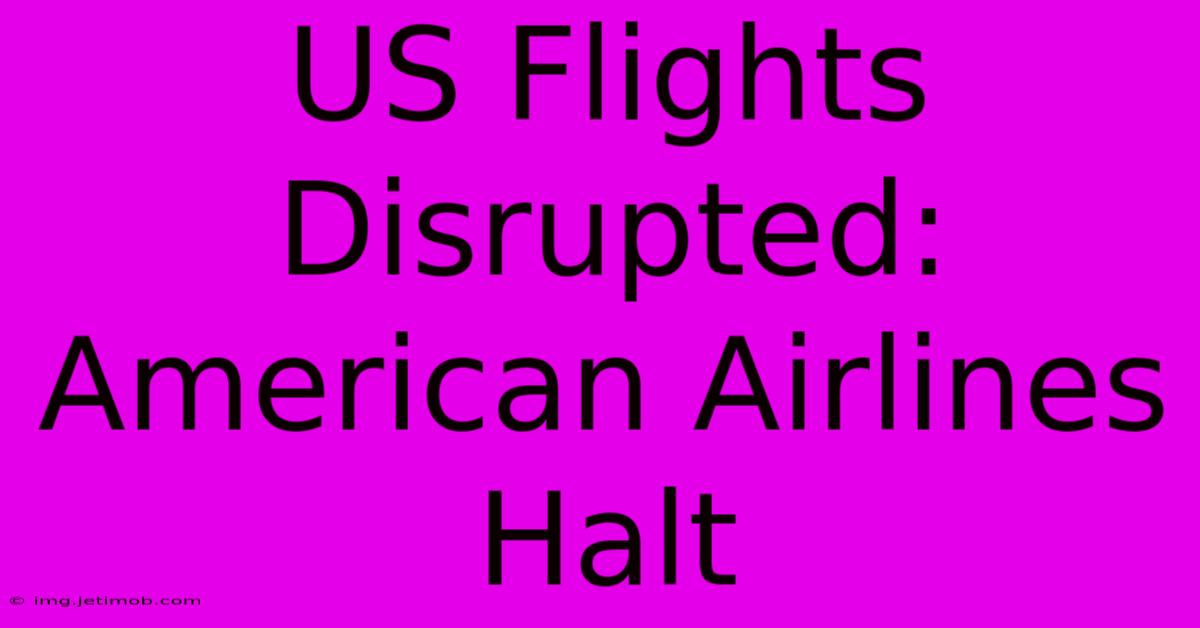 US Flights Disrupted: American Airlines Halt