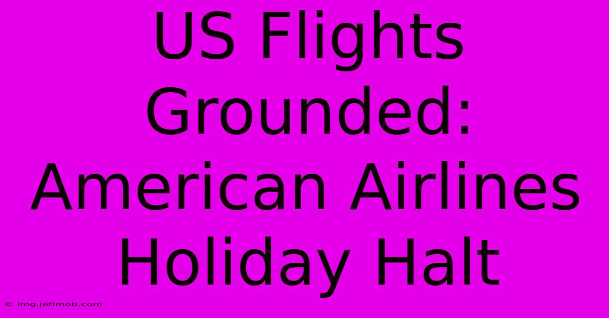 US Flights Grounded: American Airlines Holiday Halt