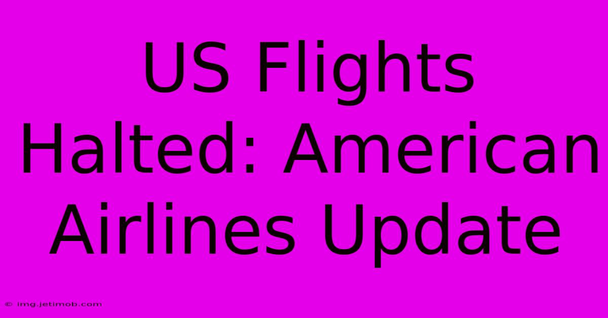 US Flights Halted: American Airlines Update