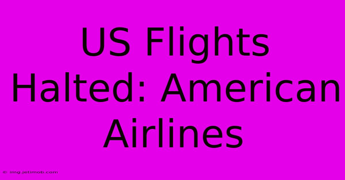 US Flights Halted: American Airlines