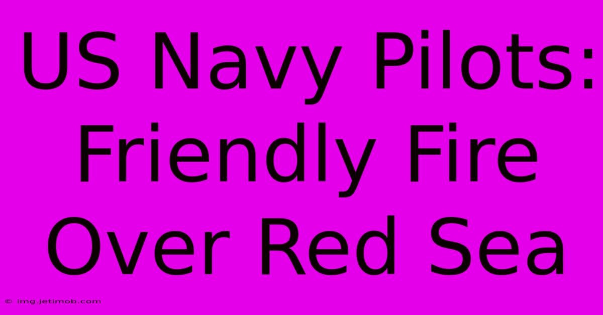 US Navy Pilots: Friendly Fire Over Red Sea