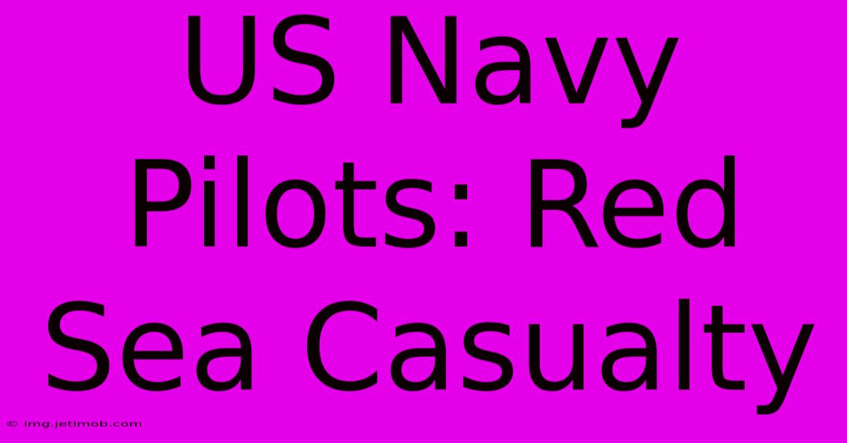 US Navy Pilots: Red Sea Casualty