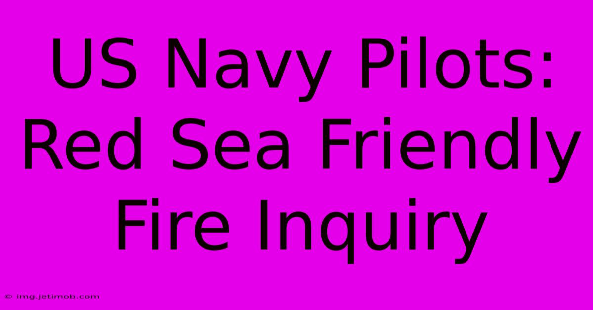 US Navy Pilots: Red Sea Friendly Fire Inquiry