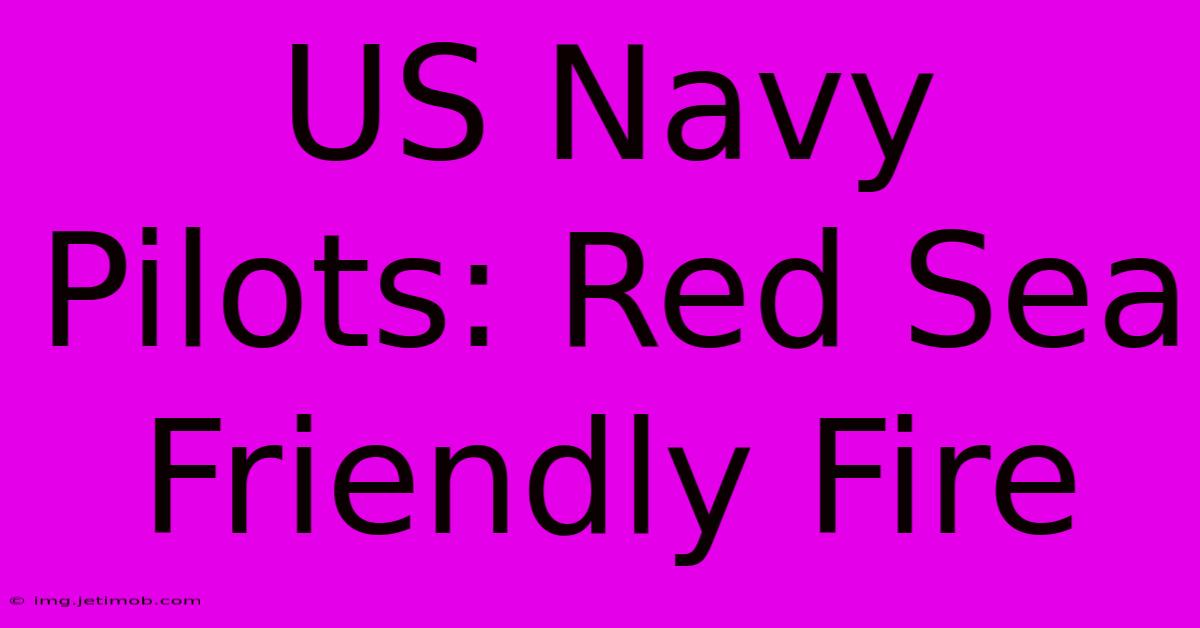 US Navy Pilots: Red Sea Friendly Fire