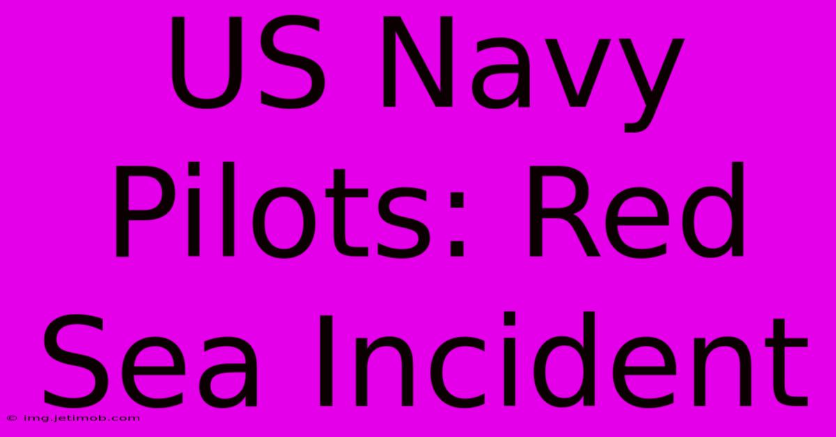 US Navy Pilots: Red Sea Incident