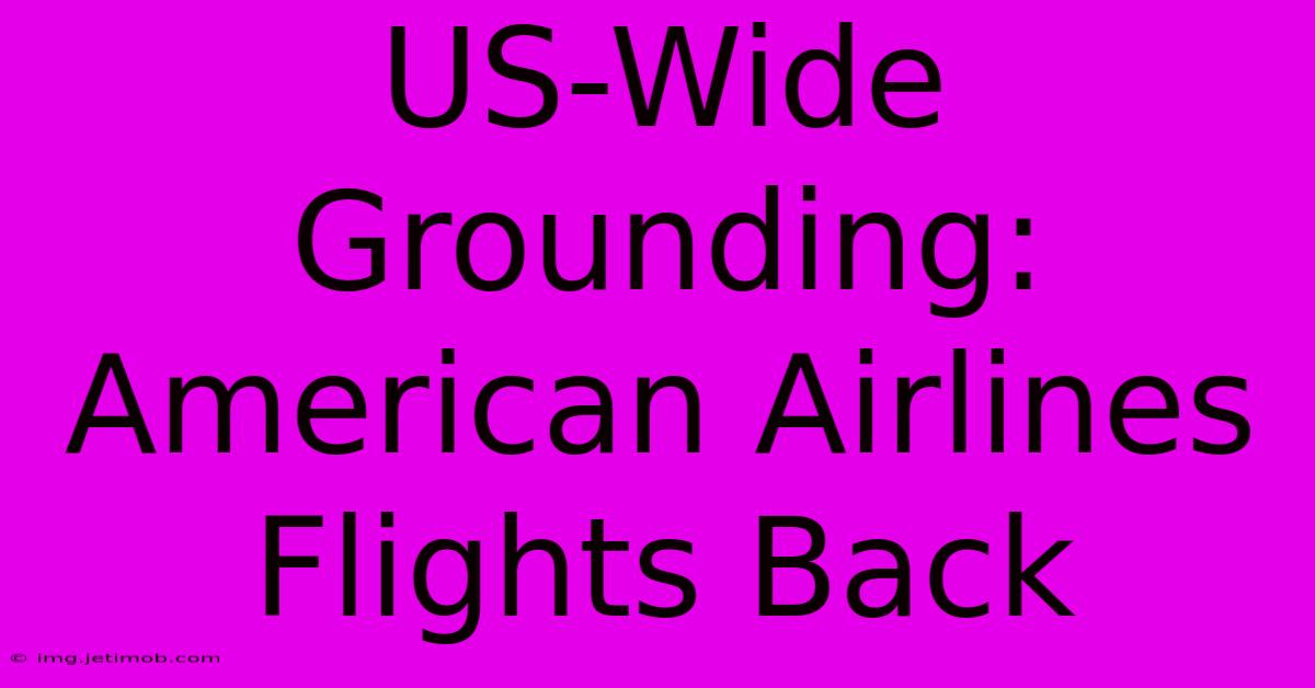 US-Wide Grounding: American Airlines Flights Back