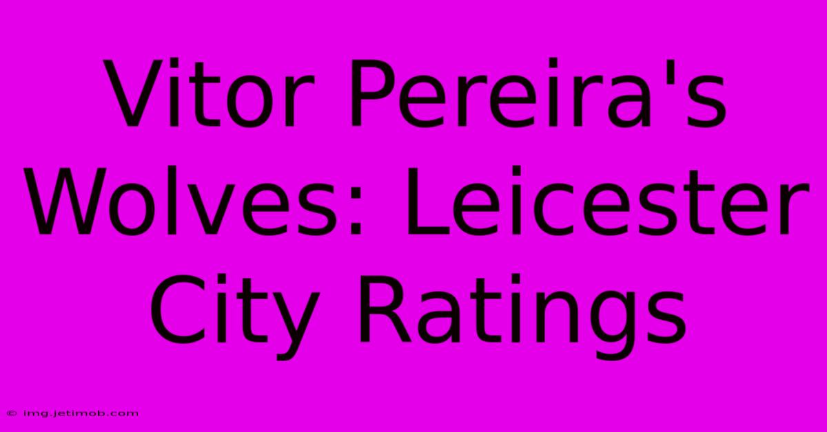 Vitor Pereira's Wolves: Leicester City Ratings