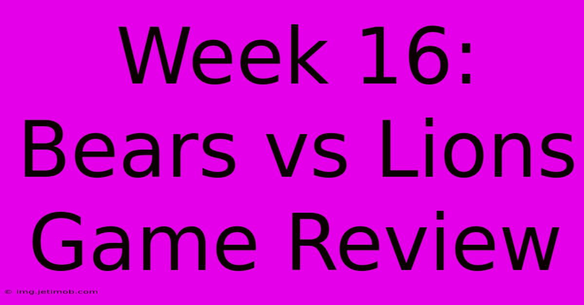 Week 16: Bears Vs Lions Game Review