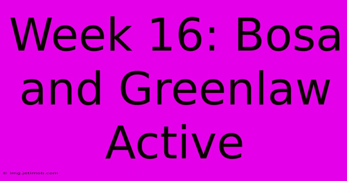 Week 16: Bosa And Greenlaw Active