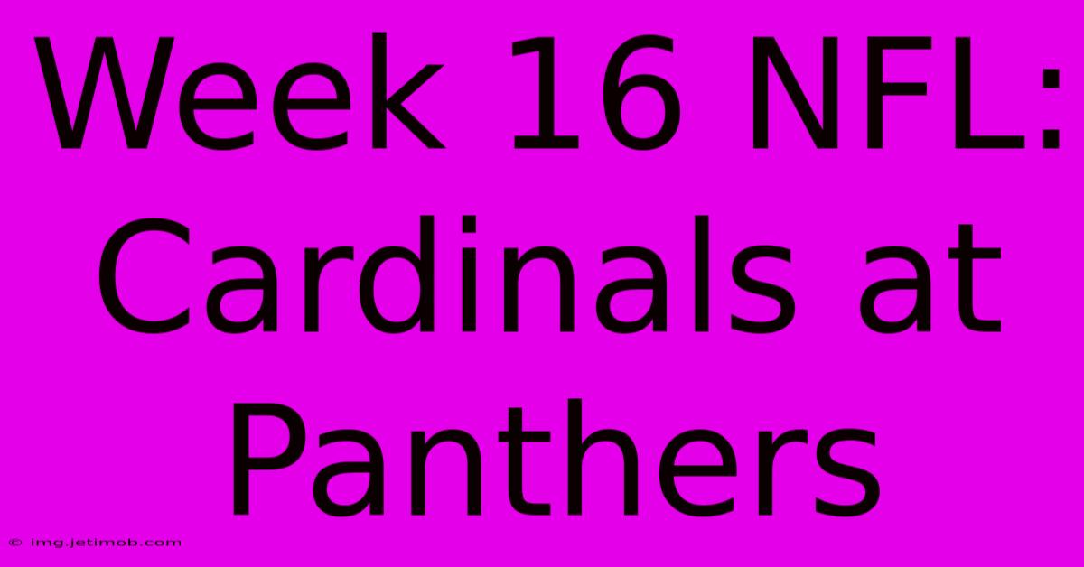 Week 16 NFL: Cardinals At Panthers