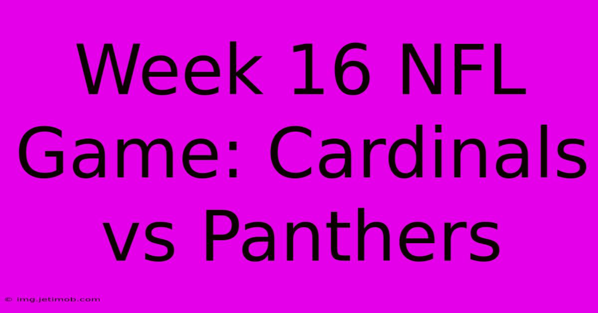 Week 16 NFL Game: Cardinals Vs Panthers