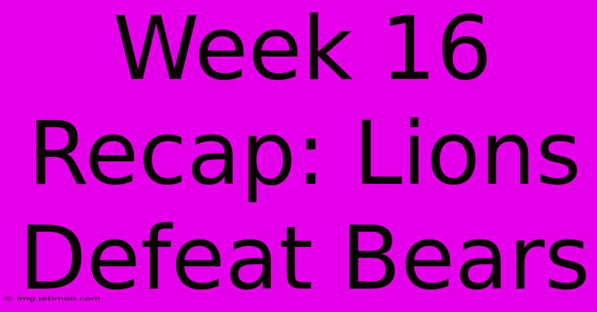 Week 16 Recap: Lions Defeat Bears