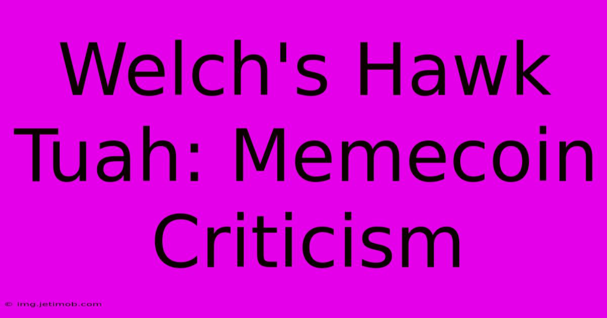 Welch's Hawk Tuah: Memecoin Criticism