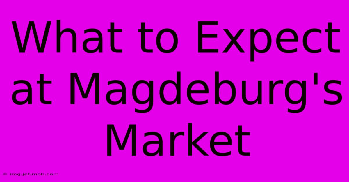 What To Expect At Magdeburg's Market