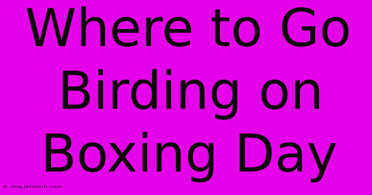 Where To Go Birding On Boxing Day