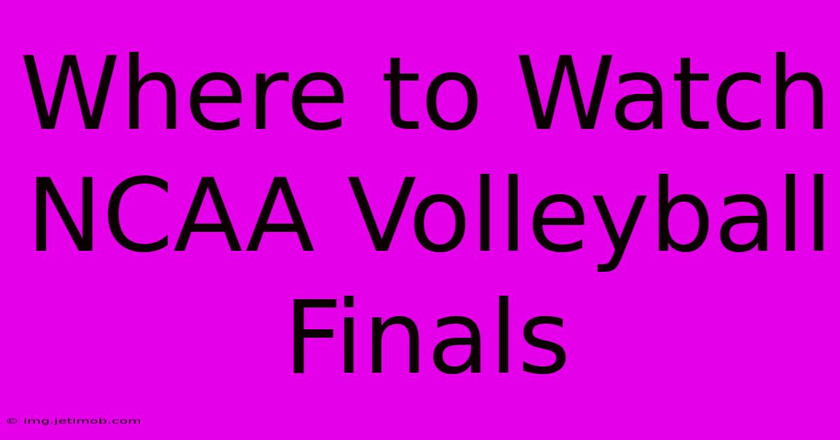 Where To Watch NCAA Volleyball Finals