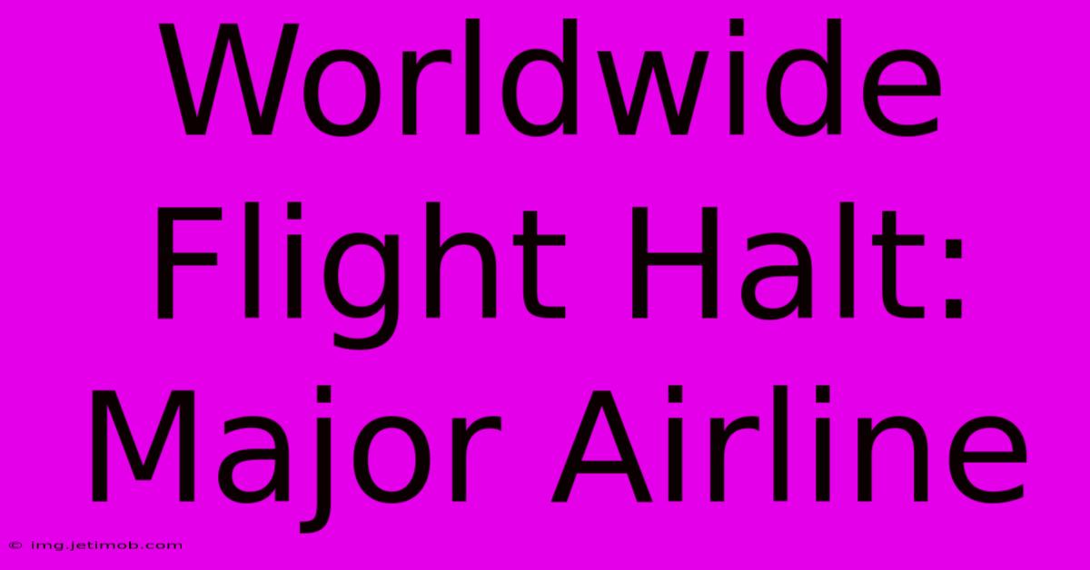 Worldwide Flight Halt: Major Airline