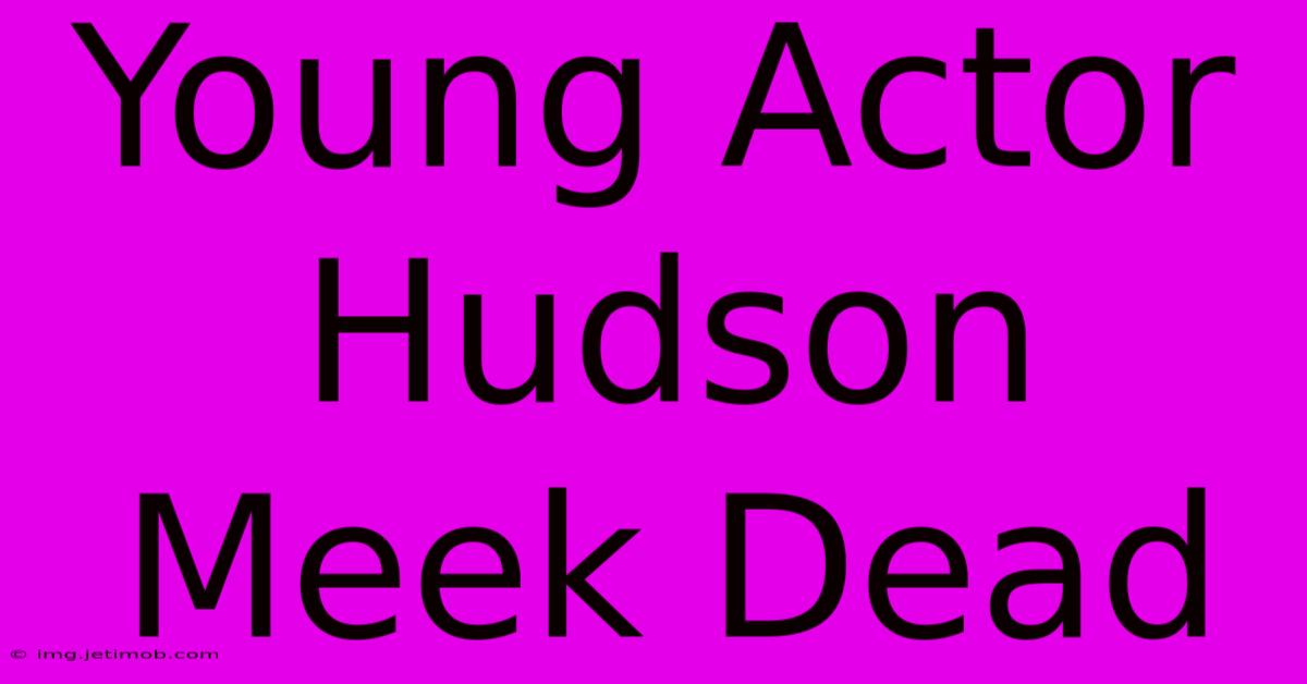 Young Actor Hudson Meek Dead